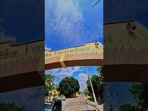 Previsualización de video