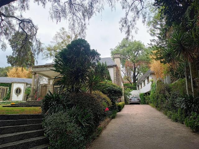 Foto de la galeria de imagenes