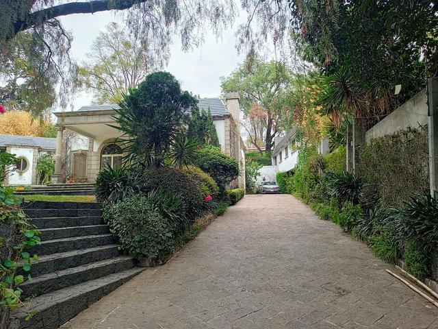 Foto de la galeria de imagenes